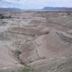 0710 - Valle Pintado Valle de la Lune National Park - Argentina