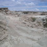 0711 - Flintstones Road Valle de la Lune National Park - Argentina